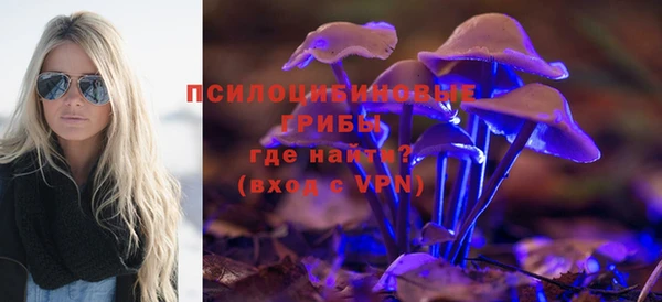 спиды Белокуриха